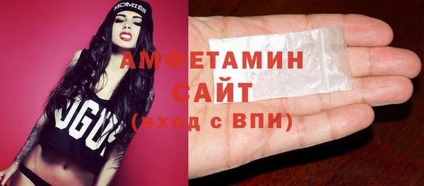 молекула духа Бородино
