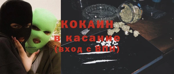 молекула духа Бородино