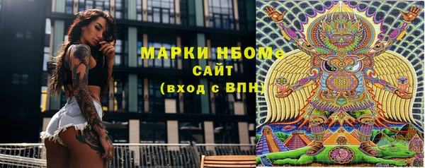 молекула духа Бородино