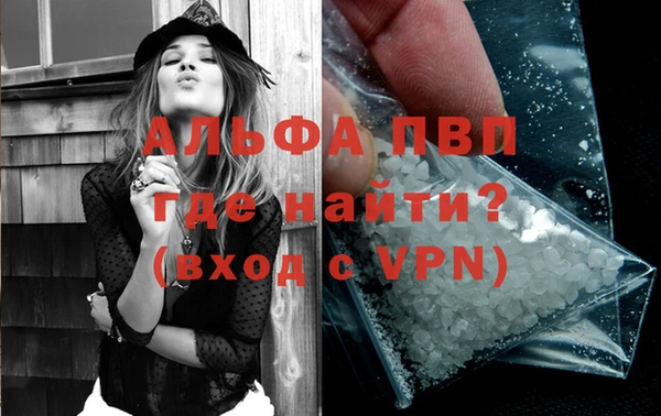 молекула духа Бородино