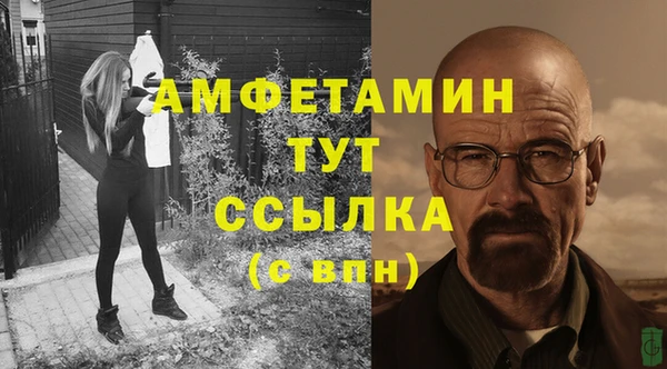 молекула духа Бородино