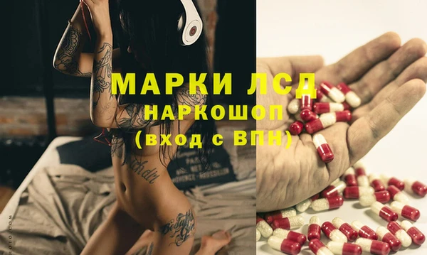 ПСИЛОЦИБИНОВЫЕ ГРИБЫ Верхний Тагил